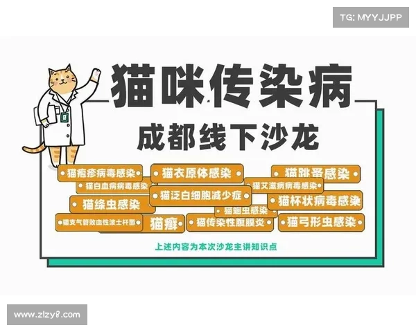 猫呼吸道传染病治疗指南 猫呼吸道传染病治疗指南